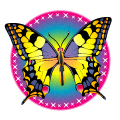 Butterfly Symbol