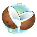Coconut Symbol